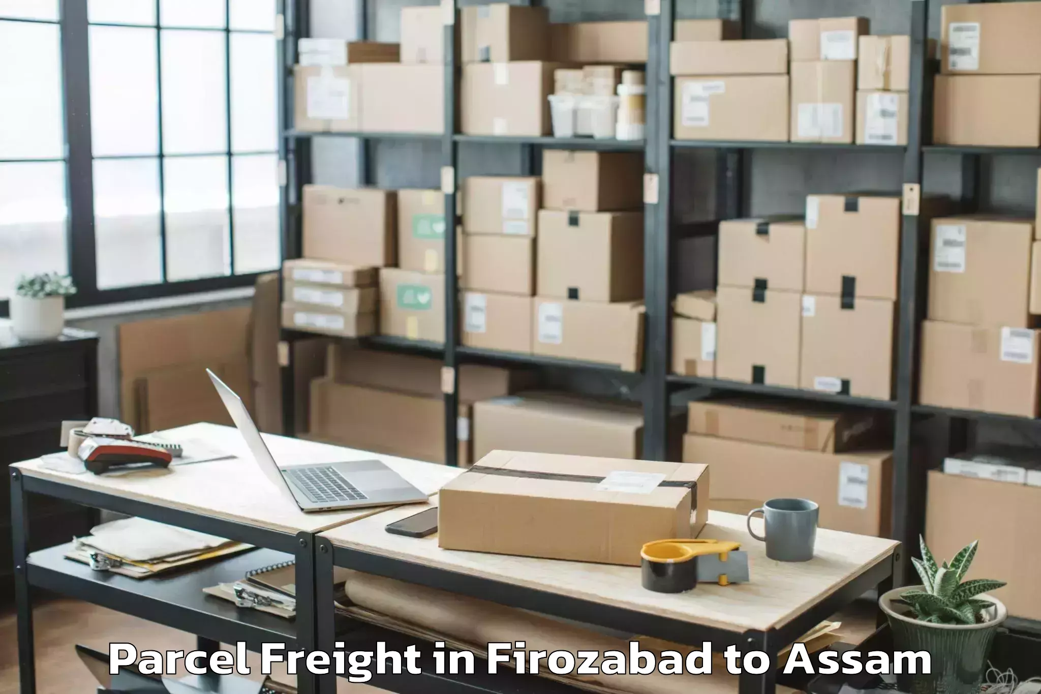 Hassle-Free Firozabad to Dibrugarh University Dibrugarh Parcel Freight